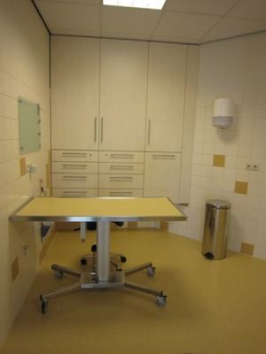 Hoe Bereid Je Een Hond Of Kat Voor Op De Operatie
