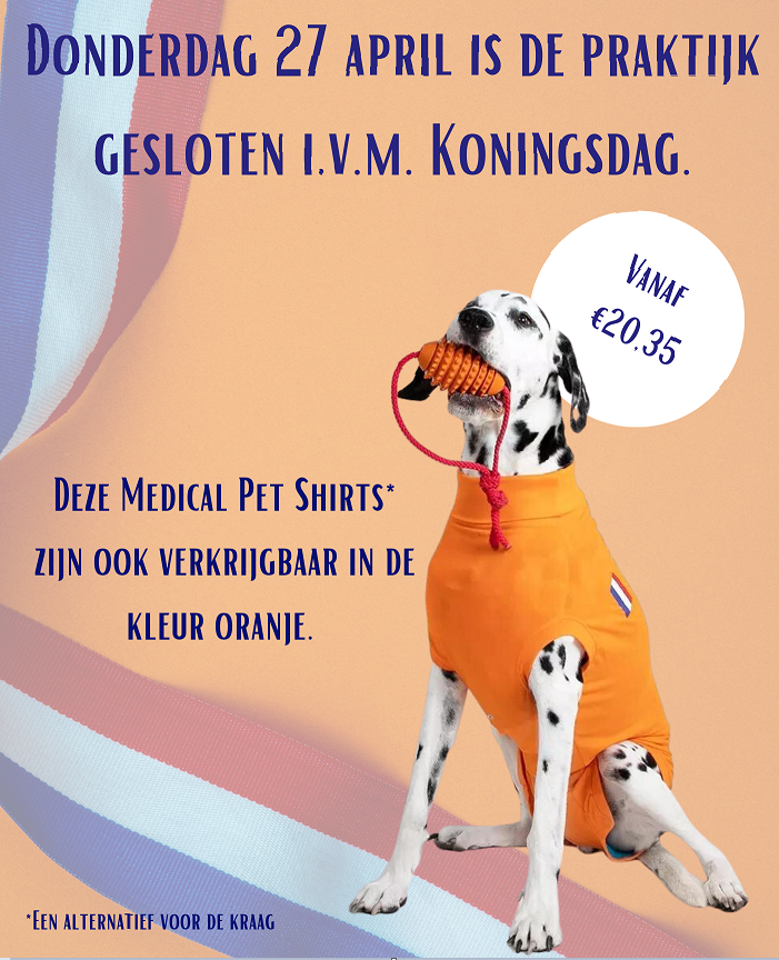 Koningsdag